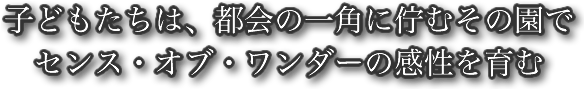 子どもたちは、都会の一角に佇むその園でセンス・オブ・ワンダーの感性を育む